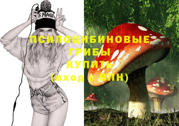 PSILOCYBIN Арсеньев