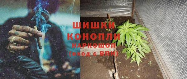 PSILOCYBIN Арсеньев