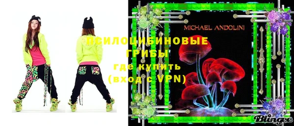 PSILOCYBIN Арсеньев