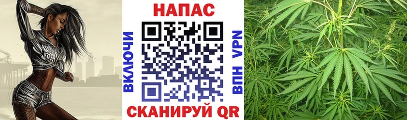 Канабис конопля цена Белокуриха